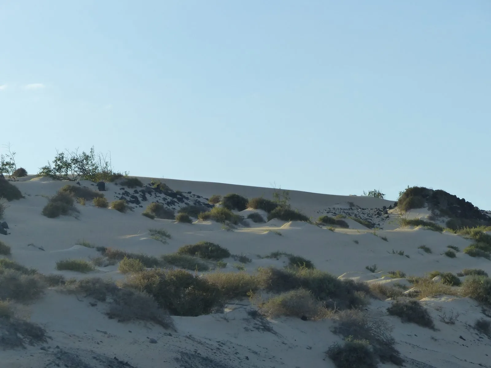 Pale sand dunes of Corralejo Natural Park at sunset on Fuerteventura